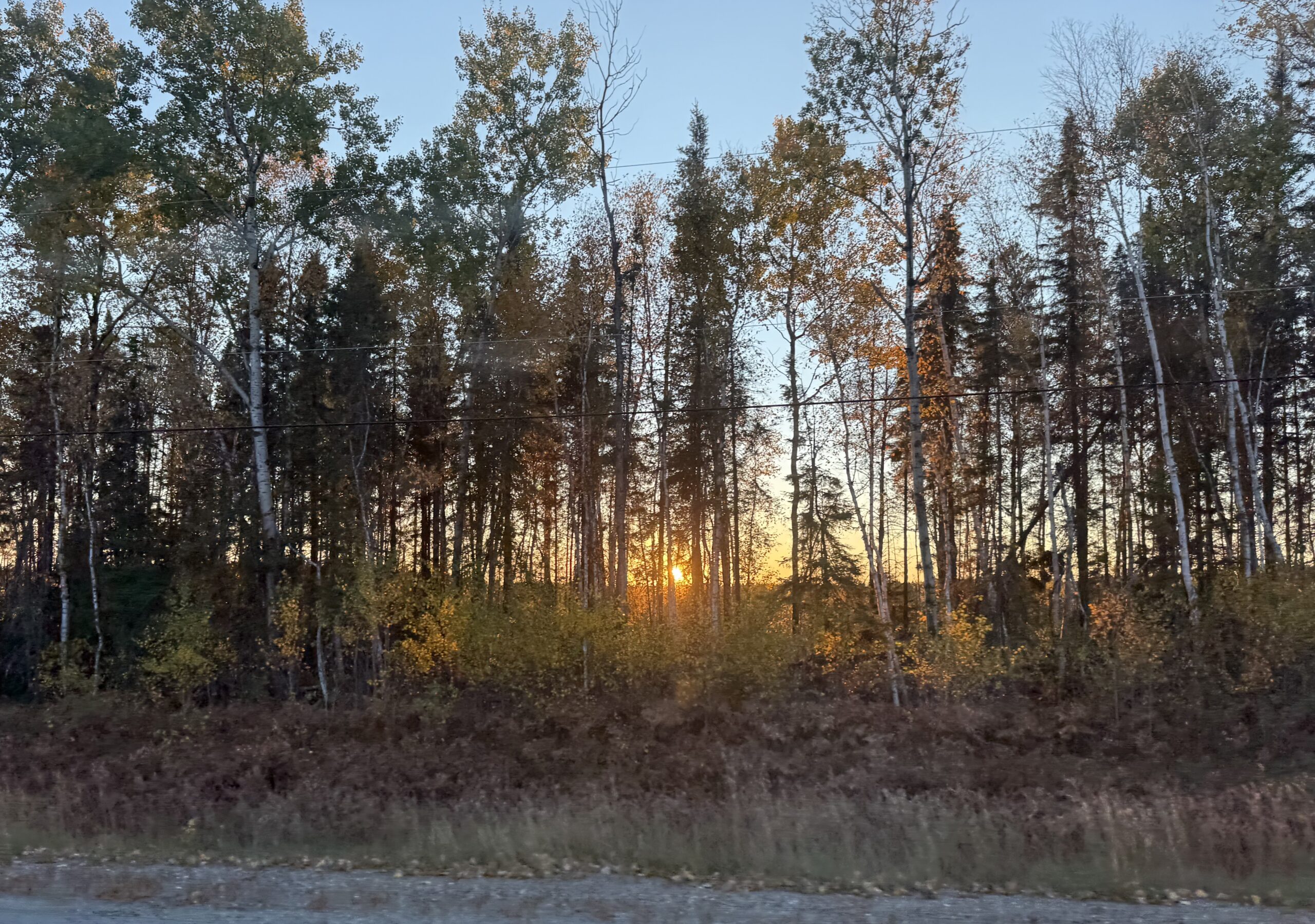 Company Sustainability Report